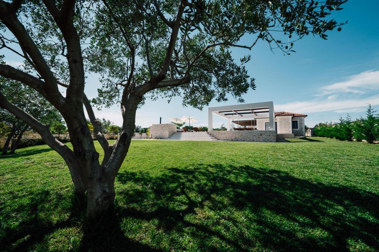 Villa Olivetum Zadar Extérieur photo